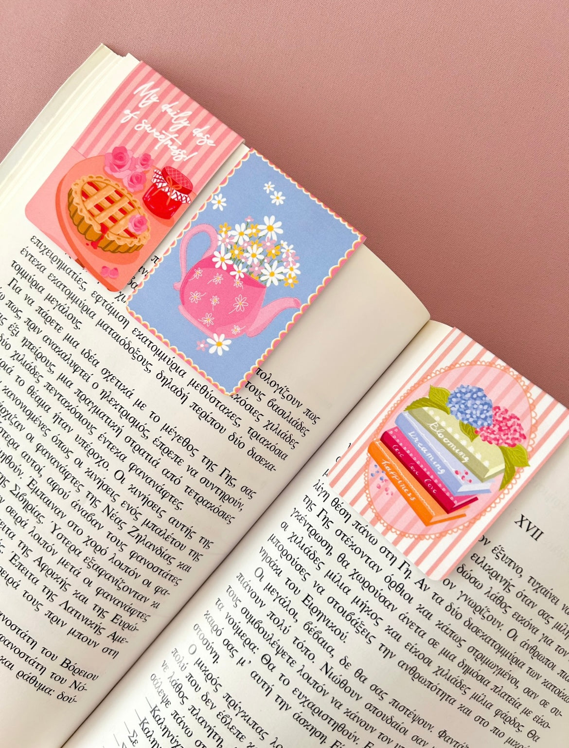 Magnetic Bookmark set